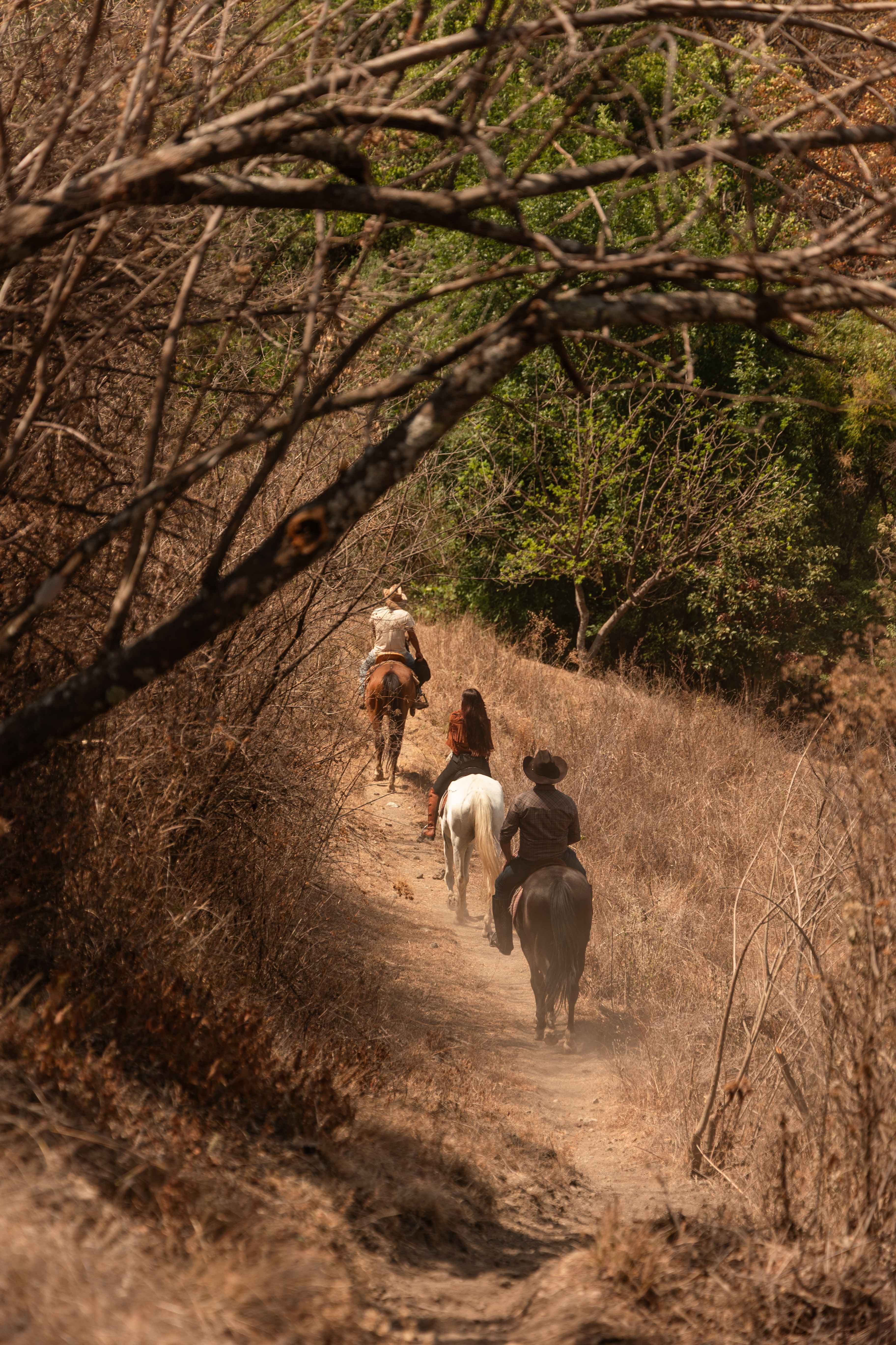 Cabalgata en la naturaleza