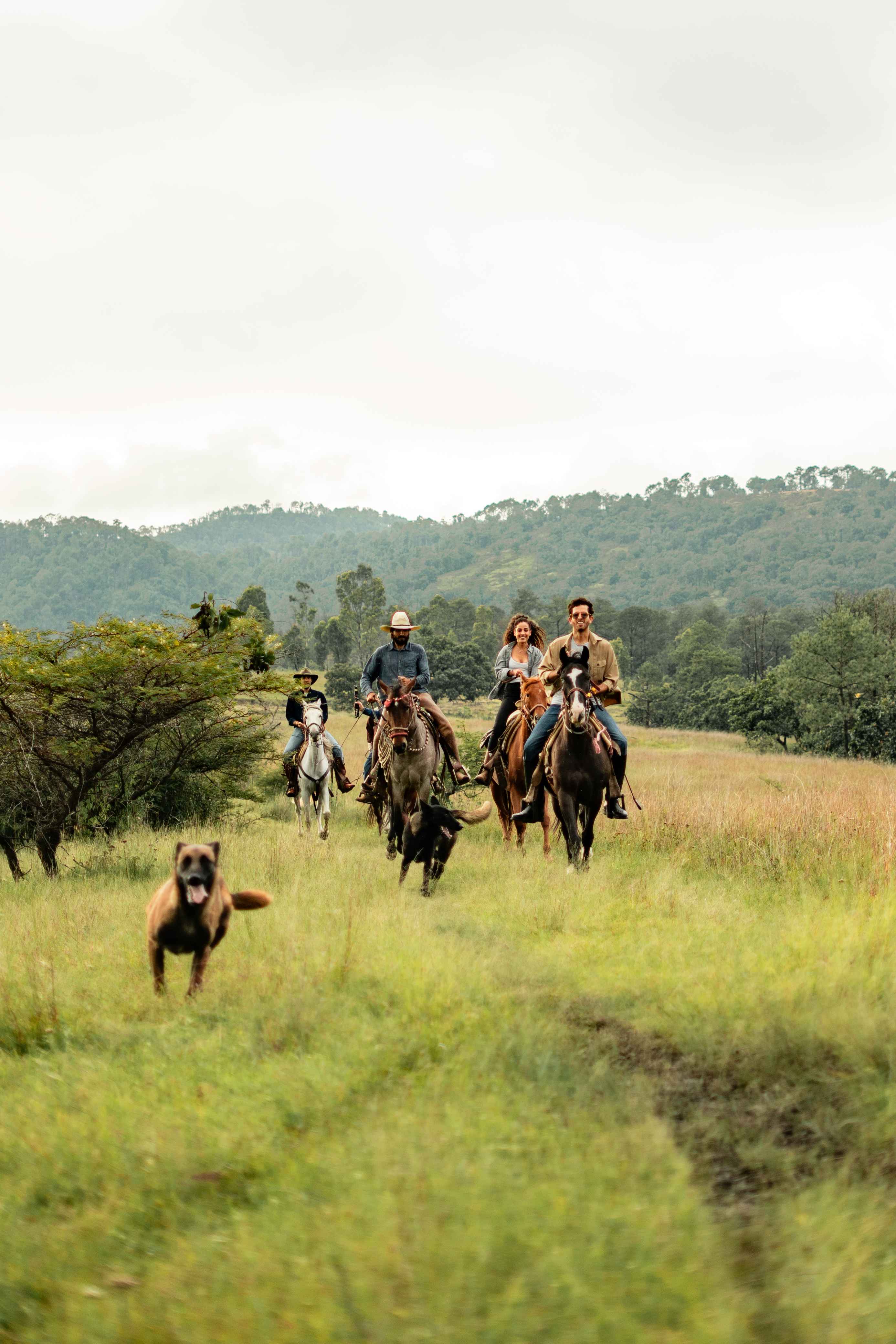 Picnic y cabalgata