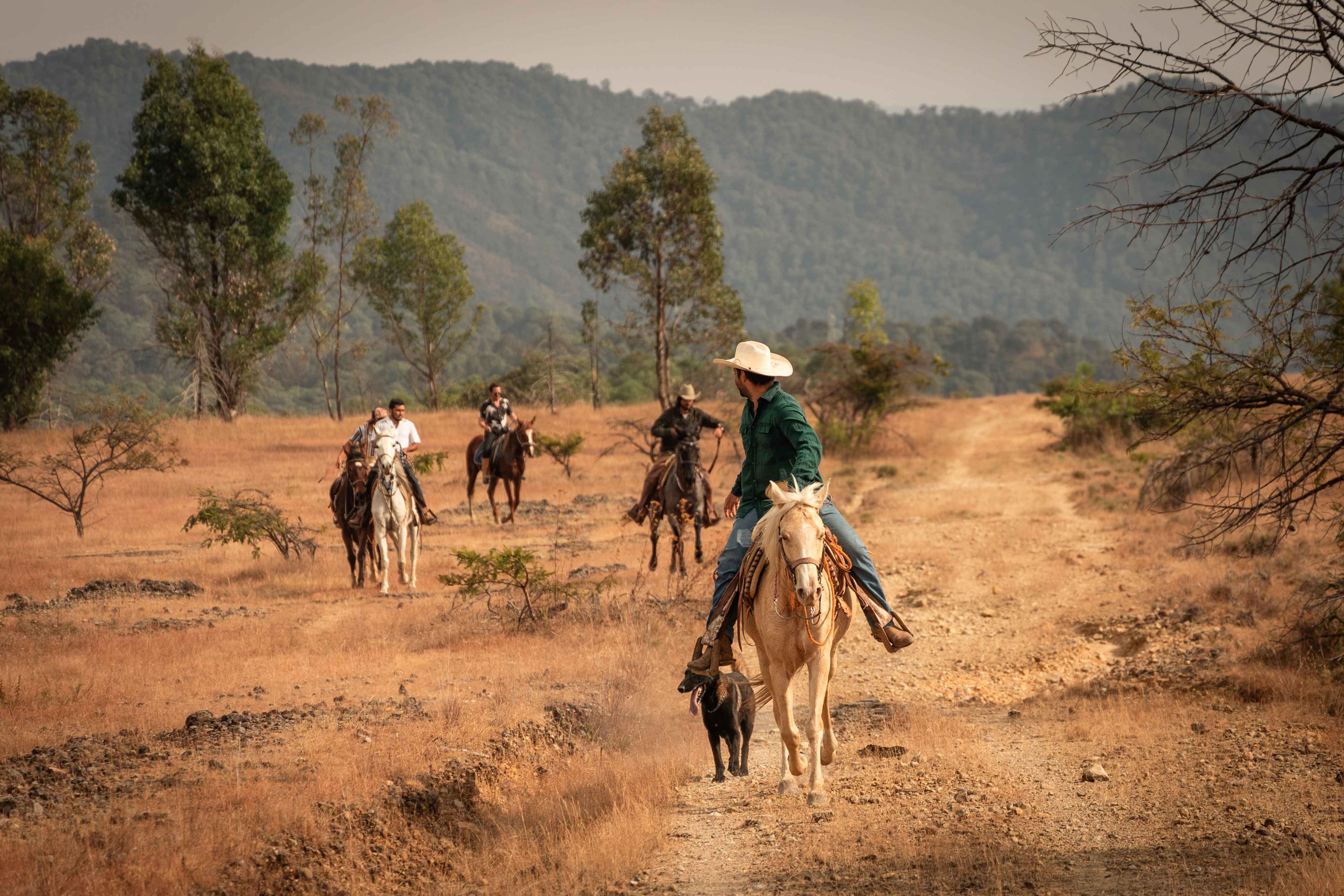 Grupo de cabalgata