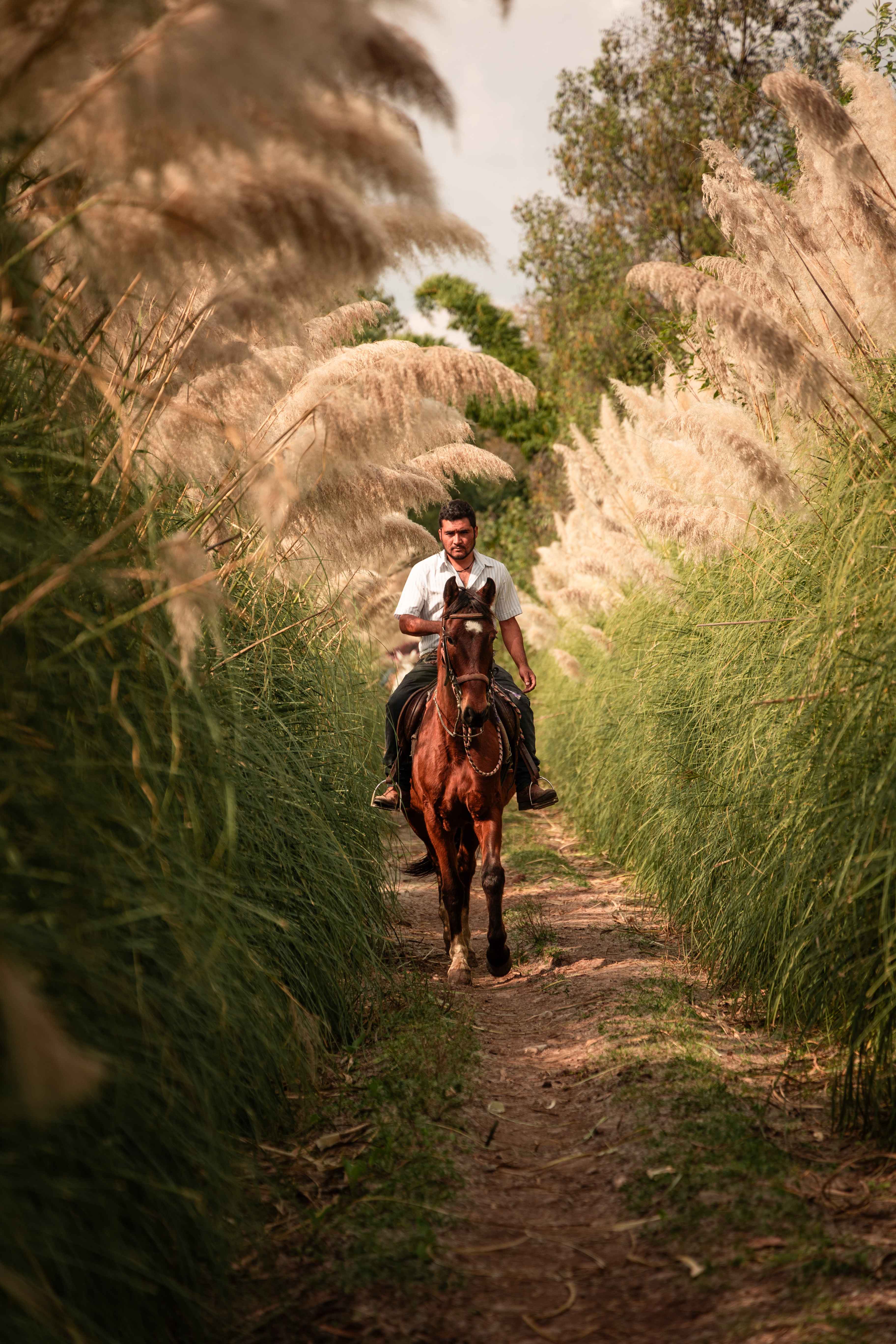 Ruta a caballo